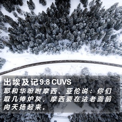 出 埃 及 记 9:8 CUVS Bible Verse Image