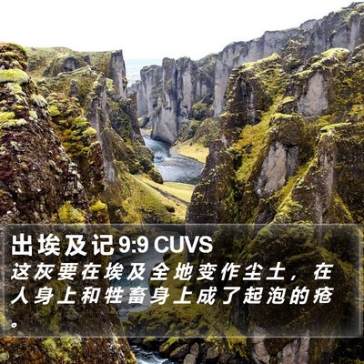 出 埃 及 记 9:9 CUVS Bible Verse Image