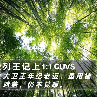 列 王 记 上 1:1 CUVS Bible Verse Image