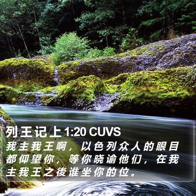 列 王 记 上 1:20 CUVS Bible Verse Image