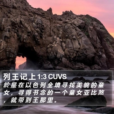 列 王 记 上 1:3 CUVS Bible Verse Image