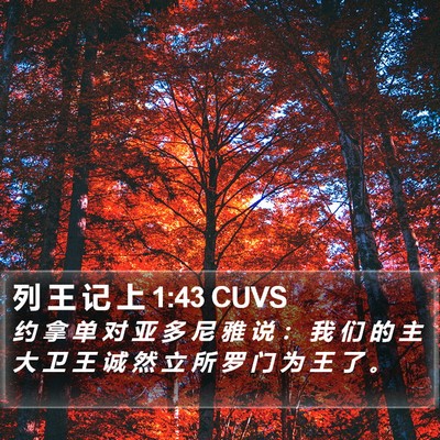 列 王 记 上 1:43 CUVS Bible Verse Image