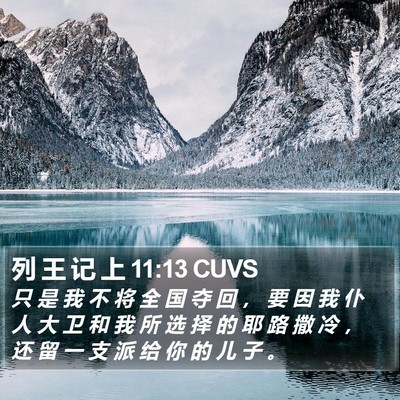 列 王 记 上 11:13 CUVS Bible Verse Image