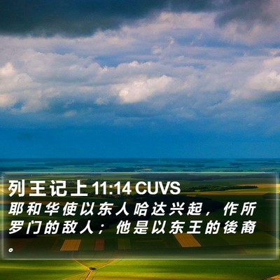 列 王 记 上 11:14 CUVS Bible Verse Image