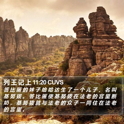 列 王 记 上 11:20 CUVS Bible Verse Image