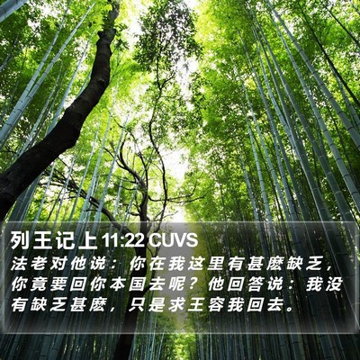 列 王 记 上 11:22 CUVS Bible Verse Image