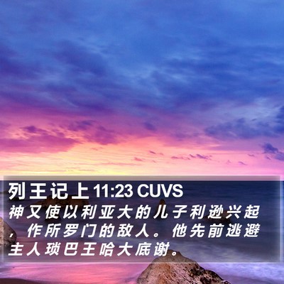列 王 记 上 11:23 CUVS Bible Verse Image