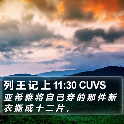 列 王 记 上 11:30 CUVS Bible Verse Image