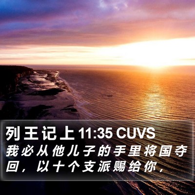 列 王 记 上 11:35 CUVS Bible Verse Image