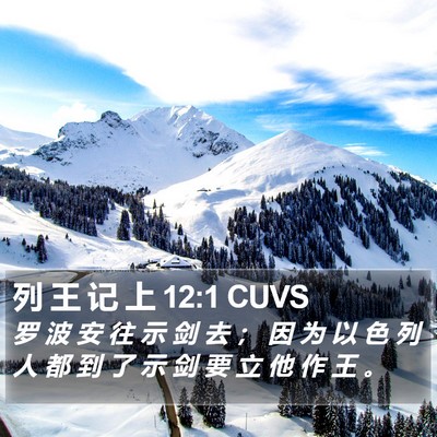 列 王 记 上 12:1 CUVS Bible Verse Image