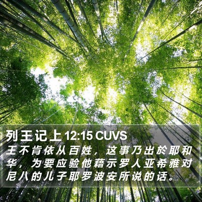 列 王 记 上 12:15 CUVS Bible Verse Image
