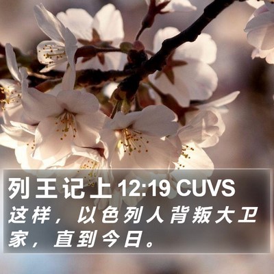 列 王 记 上 12:19 CUVS Bible Verse Image