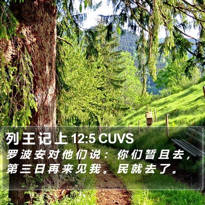 列 王 记 上 12:5 CUVS Bible Verse Image