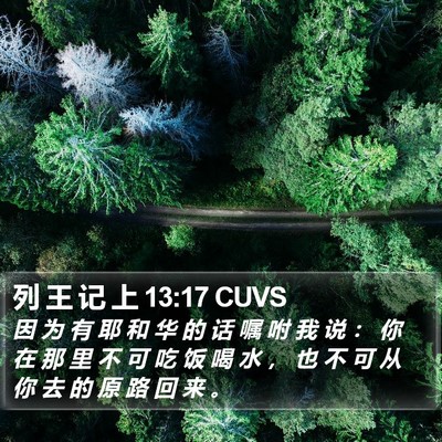 列 王 记 上 13:17 CUVS Bible Verse Image
