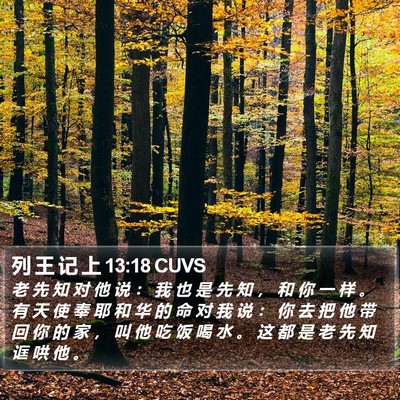列 王 记 上 13:18 CUVS Bible Verse Image