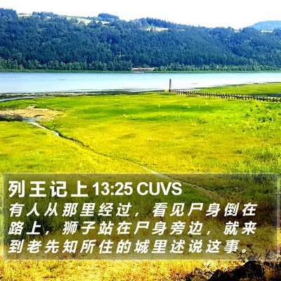 列 王 记 上 13:25 CUVS Bible Verse Image