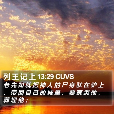 列 王 记 上 13:29 CUVS Bible Verse Image