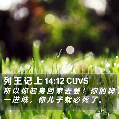 列 王 记 上 14:12 CUVS Bible Verse Image