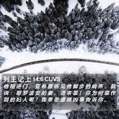 列 王 记 上 14:6 CUVS Bible Verse Image