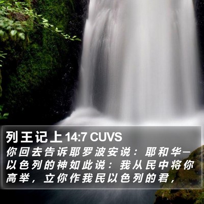 列 王 记 上 14:7 CUVS Bible Verse Image