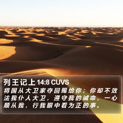 列 王 记 上 14:8 CUVS Bible Verse Image