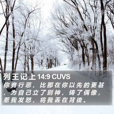 列 王 记 上 14:9 CUVS Bible Verse Image