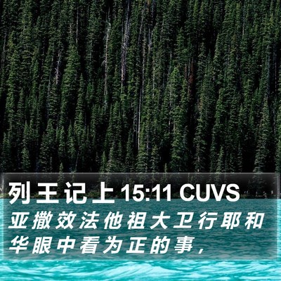 列 王 记 上 15:11 CUVS Bible Verse Image