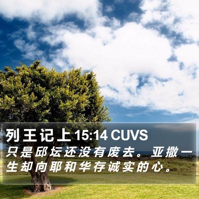 列 王 记 上 15:14 CUVS Bible Verse Image