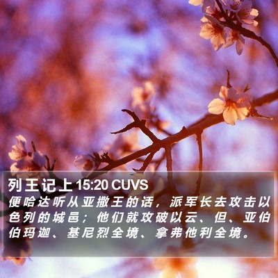 列 王 记 上 15:20 CUVS Bible Verse Image