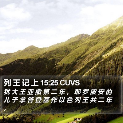 列 王 记 上 15:25 CUVS Bible Verse Image