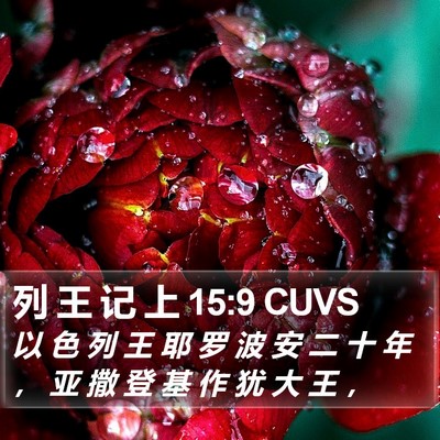 列 王 记 上 15:9 CUVS Bible Verse Image