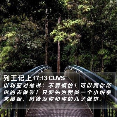 列 王 记 上 17:13 CUVS Bible Verse Image