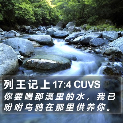列 王 记 上 17:4 CUVS Bible Verse Image