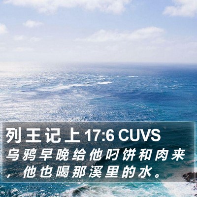 列 王 记 上 17:6 CUVS Bible Verse Image
