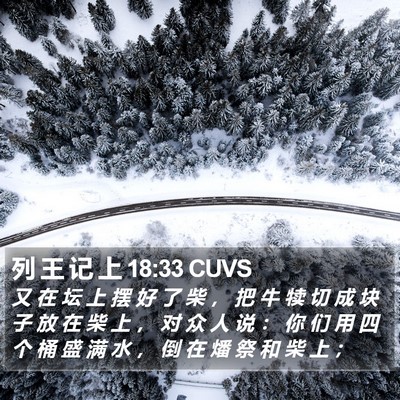 列 王 记 上 18:33 CUVS Bible Verse Image