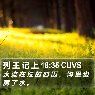 列 王 记 上 18:35 CUVS Bible Verse Image