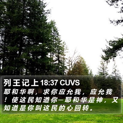 列 王 记 上 18:37 CUVS Bible Verse Image