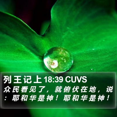 列 王 记 上 18:39 CUVS Bible Verse Image