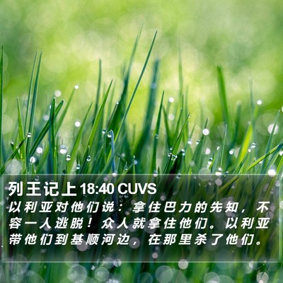 列 王 记 上 18:40 CUVS Bible Verse Image