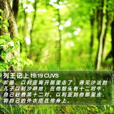 列 王 记 上 19:19 CUVS Bible Verse Image