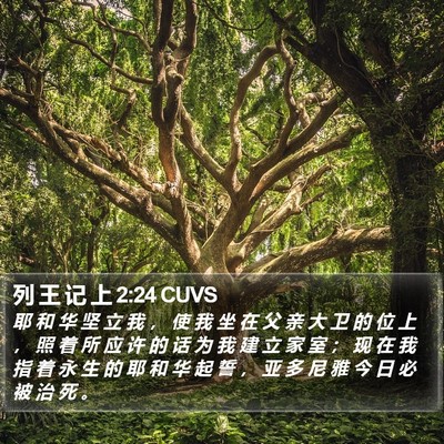 列 王 记 上 2:24 CUVS Bible Verse Image