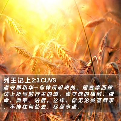 列 王 记 上 2:3 CUVS Bible Verse Image