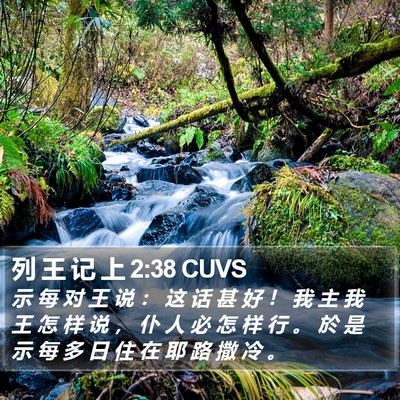 列 王 记 上 2:38 CUVS Bible Verse Image