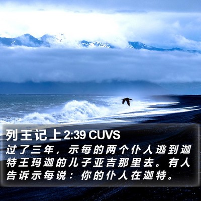列 王 记 上 2:39 CUVS Bible Verse Image