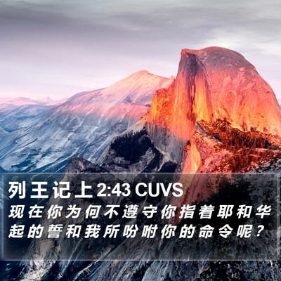 列 王 记 上 2:43 CUVS Bible Verse Image