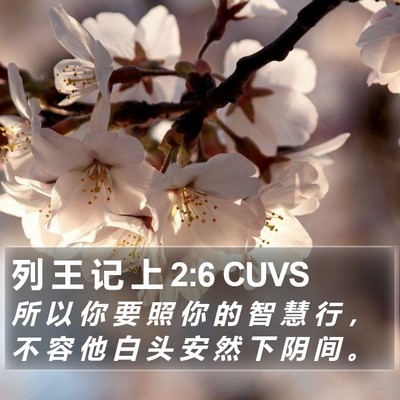列 王 记 上 2:6 CUVS Bible Verse Image