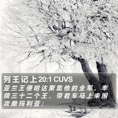 列 王 记 上 20:1 CUVS Bible Verse Image
