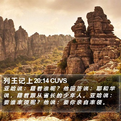 列 王 记 上 20:14 CUVS Bible Verse Image