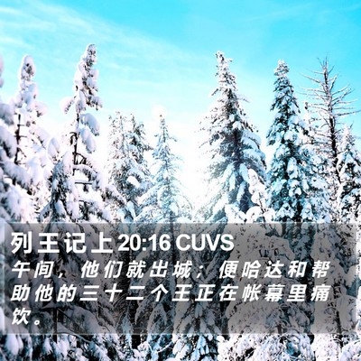 列 王 记 上 20:16 CUVS Bible Verse Image
