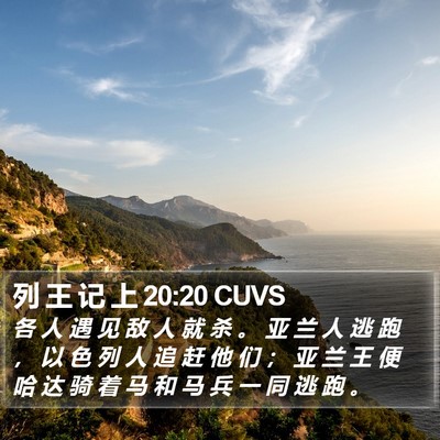 列 王 记 上 20:20 CUVS Bible Verse Image